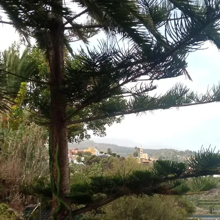 2faros Apartment La Guancha