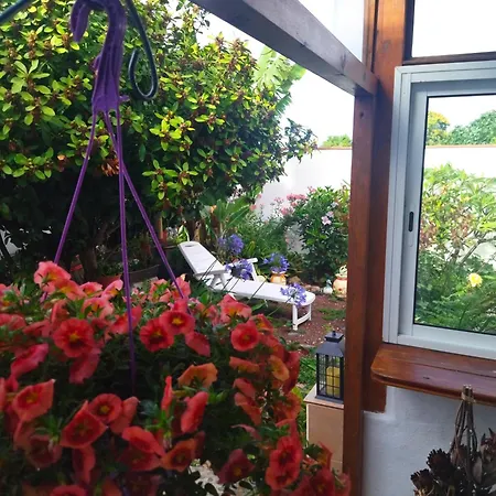 2faros Apartmán La Guancha